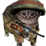 Russian cat