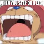 Chopper screaming | WHEN YOU STEP ON A LEGO | image tagged in chopper screaming | made w/ Imgflip meme maker