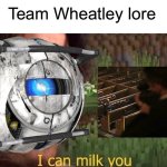 Team W******y lore v3 meme