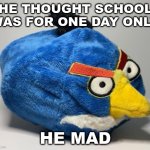 Prototype Chuck Plush | HE THOUGHT SCHOOL WAS FOR ONE DAY ONLY; HE MAD | image tagged in prototype chuck plush | made w/ Imgflip meme maker