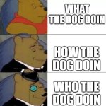 who? | WHAT THE DOG DOIN; HOW THE DOG DOIN; WHO THE DOG DOIN | image tagged in whinny the poo,dog,what the dog doin | made w/ Imgflip meme maker