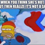 stupid sexy flanders full | WHEN YOU THINK SHE'S HOT, BUT THEN REALIZE IT'S NOT A SHE | image tagged in stupid sexy flanders full | made w/ Imgflip meme maker