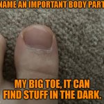 Body Parts | NAME AN IMPORTANT BODY PART. MY BIG TOE, IT CAN FIND STUFF IN THE DARK. | image tagged in toe | made w/ Imgflip meme maker