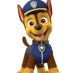 PAW Patrol Chase