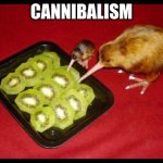 I found this insane footage of a Kiwi bird | CANNIBALISM | image tagged in kiwicannibalism | made w/ Imgflip meme maker