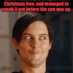 Xmas | I went to one of those places where you cut your own Christmas tree, and managed to sneak it out before the sun was up. | image tagged in that look you give your friend | made w/ Imgflip meme maker