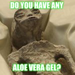 alien mexico | DO YOU HAVE ANY; ALOE VERA GEL? | image tagged in alien mexico | made w/ Imgflip meme maker