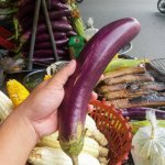 Eggplant