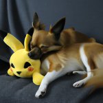 eevee hugging pikachu meme