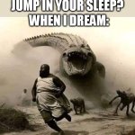 Them: Why you jump in your sleep? | THEM: WHY YOU JUMP IN YOUR SLEEP? WHEN I DREAM: | image tagged in crocodile,funny,dream,jump,nightmare,nightmares | made w/ Imgflip meme maker