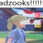 gazooks!!!!!! meme