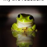 live frog reaction meme