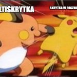 multiskrytka | MULTISKRYTKA; SKRYTKA W PACZKOMACIE | image tagged in raichu vs pikachu | made w/ Imgflip meme maker