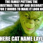 Having a Christmas tree with a cat | THE FAMILY PUTTING THE CHRISTMAS TREE UP AND DECORATED IT FOR 2 HOURS TO MAKE IT LOOK NICE; THERE CAT NAME LAYLA | image tagged in the grinch jim carrey | made w/ Imgflip meme maker