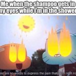 Who agrees that shampoo/soap+eyes=burning sensation? | Me when the shampoo gets in my eyes while I'm in the shower: | image tagged in there are no words to express the pain that i feel right now,relatable memes,ouch,shampoo,fresh memes | made w/ Imgflip meme maker