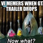 the memes are over now (maybe) | GTA VI MEMERS WHEN GTA VI
TRAILER DROPS | image tagged in now what | made w/ Imgflip meme maker