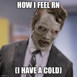 I hate breathing through my mouth because I’m congested | HOW I FEEL RN; (I HAVE A COLD) | image tagged in sprint zombie,cold | made w/ Imgflip meme maker