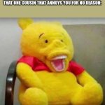 I hate that guy | NOBODY:
THAT ONE COUSIN THAT ANNOYS YOU FOR NO REASON: | image tagged in knock off winnie the pooh | made w/ Imgflip meme maker