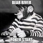 poker chimp | BEAR RIVER; POKER STARS | image tagged in poker chimp | made w/ Imgflip meme maker