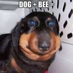 he ate a bee | DOG + BEE = | image tagged in he ate a bee | made w/ Imgflip meme maker