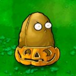 Tall Nut in a pumpkin
