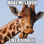 Comeback Giraffe | MAKE ME LAUGH; LIKE A GIRAFFE | image tagged in comeback giraffe | made w/ Imgflip meme maker