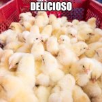 Baby chickens at a factory farm | DELICIOSO | image tagged in vegans,chicken nuggets,i eat meat,idc | made w/ Imgflip meme maker