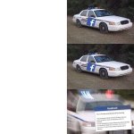 FACEBOOK POLICE 3 PANEL BLANK, REMOVED