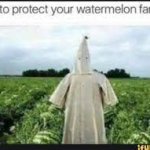 Watermelon farm meme