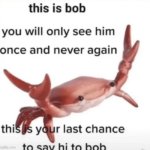 This is bob