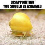 dissapointed snail