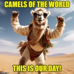 Camels of the world, this is our day | CAMELS OF THE WORLD; THIS IS OUR DAY! | image tagged in silly happy camel,wednesday,hump day,camel,happy | made w/ Imgflip meme maker