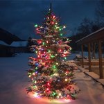 Brightly lit Christmas tree bulbs JPP