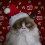 Grumpy Christmas