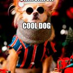 cool dog | CHRISTMAS CHIHUAHUA; COOL DOG | image tagged in cool dog | made w/ Imgflip meme maker