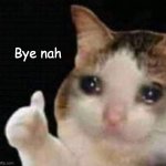 bye nah | Bye nah | image tagged in approved crying cat | made w/ Imgflip meme maker