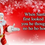 No Ho Ho Hoes | When Santa first looked at you he thought, no ho ho hoes | image tagged in christmas santa blank,funny,memes | made w/ Imgflip meme maker
