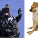 Cheems entertains laughing seal meme