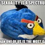 Prototype Chuck Plush | IF SEXUALITY IS A SPECTRUM; THAN ONE OF US IS THE MOST GAY | image tagged in prototype chuck plush | made w/ Imgflip meme maker