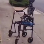 Skeleton on a Wheelchair GIF Template