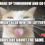 Milly the silly cat Bleh Cat | I MIGHT WAKE UP TOMORROW AND GO FOR A JOG; MEMEs by Dan Campbell; I MIGHT ALSO WIN THE LOTTERY; ODDS ARE ABOUT THE SAME | image tagged in milly the silly cat bleh cat | made w/ Imgflip meme maker