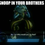 Why would you do that? | POV:YOU SNOOP IN YOUR BROTHERS BEDROOM | image tagged in why would you do that | made w/ Imgflip meme maker