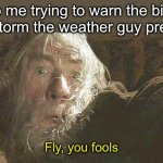 Gandalf Fly You Fools | 5yo me trying to warn the birds of the storm the weather guy predicted:; Fly, you fools | image tagged in gandalf fly you fools | made w/ Imgflip meme maker