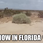 Snow in Florida | SNOW IN FLORIDA 💀 | image tagged in gifs,florida | made w/ Imgflip video-to-gif maker