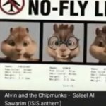 No fly chipmunk