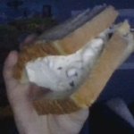 escalator_mayonnaise's ice cream sandwich