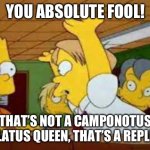 Any nerds be like | YOU ABSOLUTE FOOL! THAT’S NOT A CAMPONOTUS INFLATUS QUEEN, THAT’S A REPLETE! | image tagged in debiles de cerebro,ant,queen,fool | made w/ Imgflip meme maker