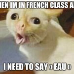 EAU | WHEN IM IN FRENCH CLASS AND; I NEED TO SAY « EAU » | image tagged in cat vomiting lol | made w/ Imgflip meme maker