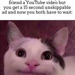 So awkward… | That awkward moment when you’re going to show your friend a YouTube video but you get a 15 second unskippable ad and now you both have to wait: | image tagged in awkward smile cat | made w/ Imgflip meme maker