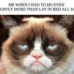 Existing is tiring | ME WHEN I HAD TO DO EVEN SLIGHTLY MORE THAN LAY IN BED ALL DAY | image tagged in memes,grumpy cat not amused,grumpy cat | made w/ Imgflip meme maker